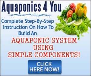 Honest Aquaponics 4 You Review