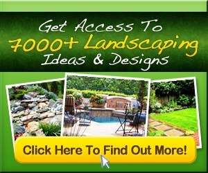 Honest Ideas 4 Landscaping Review