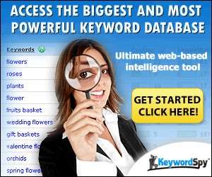 Honest Keyword Spy Review